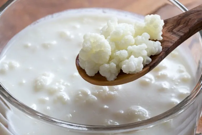 Cibi fermentati: benefici e ricette facili da fare in casa 6 Cibi fermentati: benefici e ricette facili da fare in casa