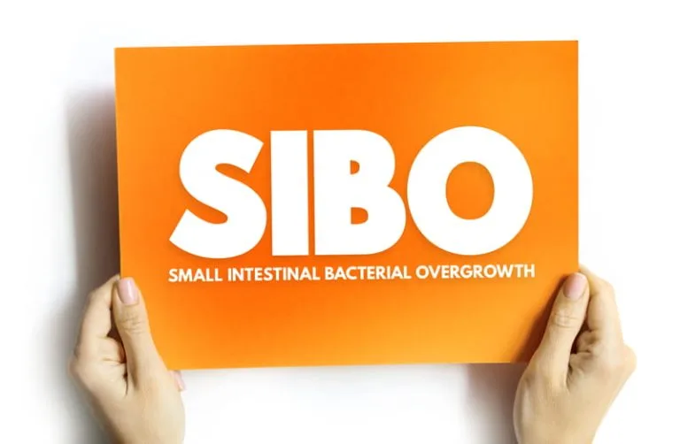 Gestione della SIBO: alimentazione e strategie per il benessere intestinale 10 Gestione della SIBO: alimentazione e strategie per il benessere intestinale