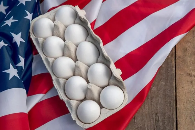 Nuovo modello alimentare USA 2025-2030: una lettura critica delle nuove linee guida 4 Nuovo modello alimentare USA 2025-2030: una lettura critica delle nuove linee guida